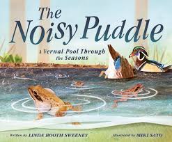 Review of The Noisy Puddle: